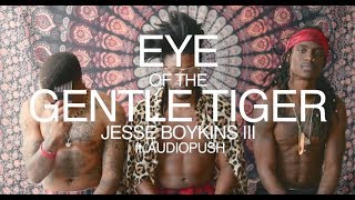 Eye Of The Gentle Tiger Music Video