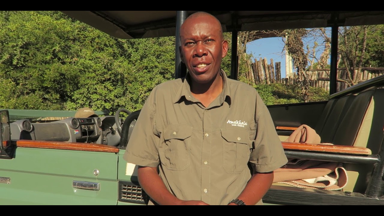 A Safari with Safari Lodge