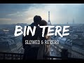 Bin Tere ( Slowed And Reverb) | Tanishk Bagchi | Cover Song | Remix Music