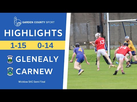 SHC Semi Final - Glenealy v Carnew Emmets | Highlights