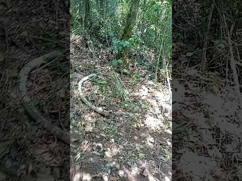 #motocross #trilha #familia #trilhadokikão(4)