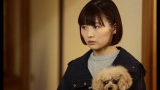 伊藤沙莉主演テレビ朝日系「シッコウ！！～犬と私と執行官～」８日放送第５話あらすじ　ひかり、執行補助者の仕事と新会社の誘いで揺れ動く！？[24/24]