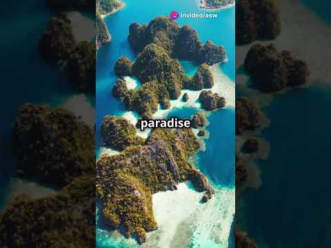 From Komodo to Raja Ampat: A Nomad’s Indonesian Odyssey