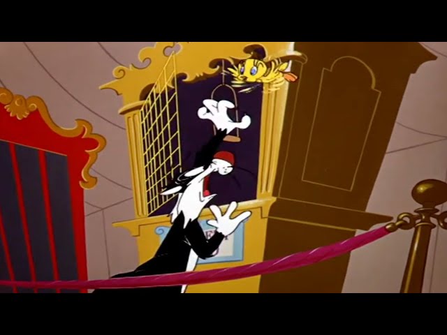 Vídeo relacionado con United Labels Looney Tunes - Fiambrera Tweety con divisor, color amarillo