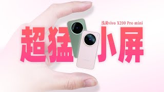 Re: [情報] X200 Pro主攝拍照一定條件下會大量眩光