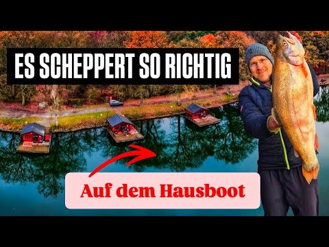 WIR FASSEN ES KAUM, was für eine KRASSE FORELLE! GREWALD mit neuer Winter-Taktik am Forellensee