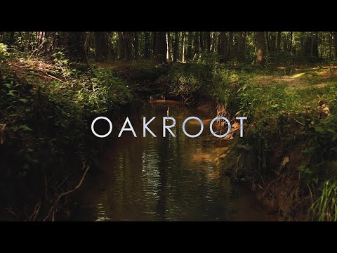 grayera & hnrk - oakroot