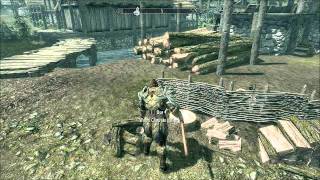 Skyrim: Wood cutting (Fire wood)