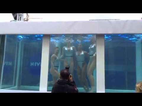 The Aquabatique Aquarium