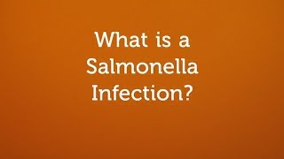Антитела к vi-антигену salmonella typhi