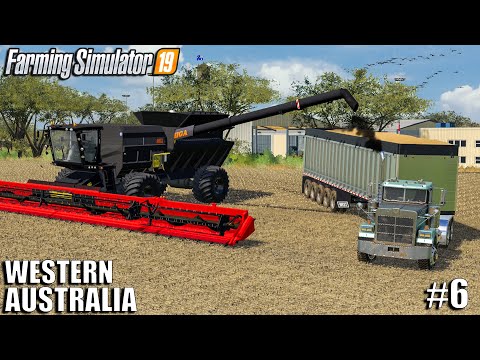 I USED the Biggest Harvester on the Market to get 100.000L | Farming Simulator 19 Timelapse | #6