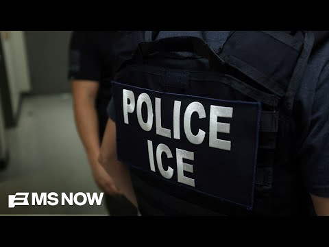 Nearly 40 percent arrested by ICE in Trump's first year had no criminal record: Report