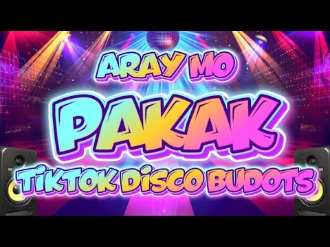 Aray Mo , Pakak ( TikTok Disco Budots ) DjPauloRemix 