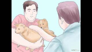 Powerful man by Alex g//cover