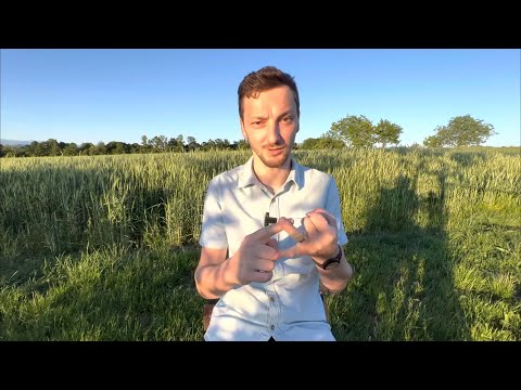 👨‍👩‍👦Impactul enorm prin copii