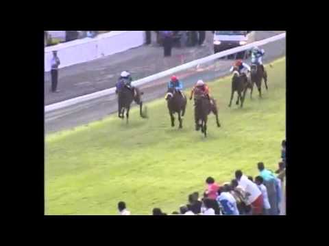 Disa leader the champion of champions