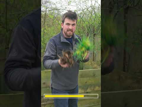 20-Second Composting: Fast & Easy Garden Fertilizer