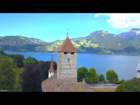 Humaara haal/team the force/full song