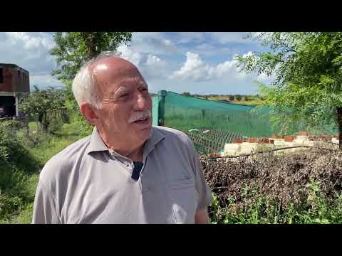 Shqiptarët që shkuan në Turqi para 115 vitesh