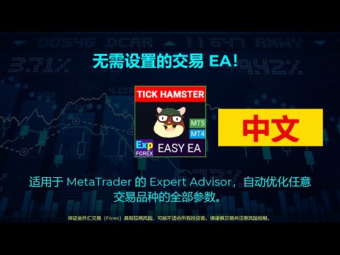 Video Exp Tick Hamster MT5