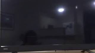 Closing to Harry Potter and the chamber of secrets 2003 VHS Part 3