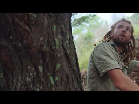 The Succession of the Humble Acacia