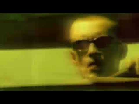 mo konga w innym stylu