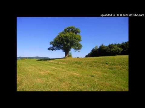 Enzo Bianchi La risurrezione di Cristo e la nostra