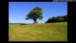Enzo Bianchi La risurrezione di Cristo e la nostra