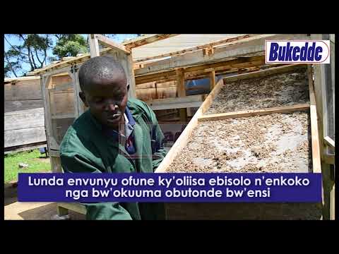 Lunda envunyu ofune ky’oliisa ebisolo n’enkoko nga bw’okuuma obutonde bw’ensi