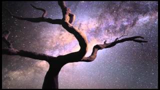 Royal Wood - The Glory (Official Stop Animation  Video)