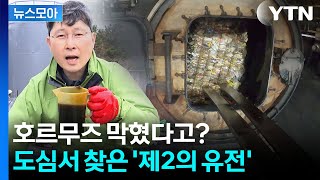 [뉴스모아] 에너지 위기 시대…새로운 해법 등장! / YTN