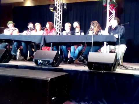 Ponyville Ciderfest 2015 - Saturday VA Panel Q&A