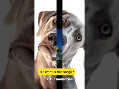 2019 memories for Norwegian people