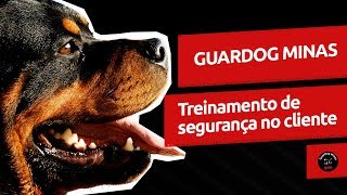 video guardog na mídia