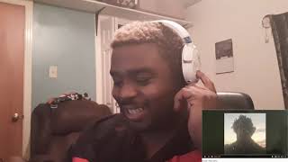 Ecco2k - Pollen (A/V) Reaction