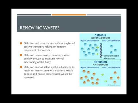 MAB 9.2.3.4 diffusions and osmosis waste removal