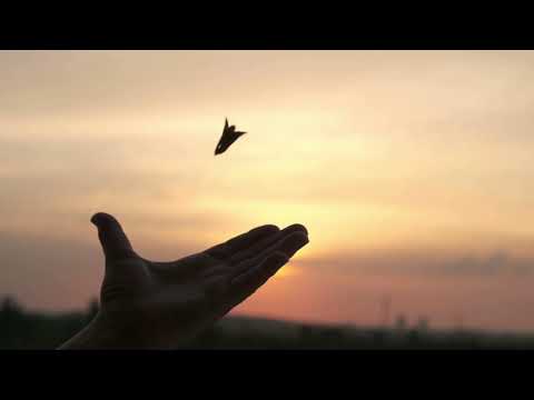 Michele Adamson & Deep Dive Corp. - The Flame