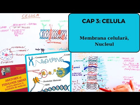 ADMITERE MEDICINA BARRON'S: CELULA 1/4:  Membrana celulară și nucleul
