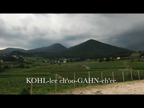 Colli Euganei as pronounced by Francesco Bonfio