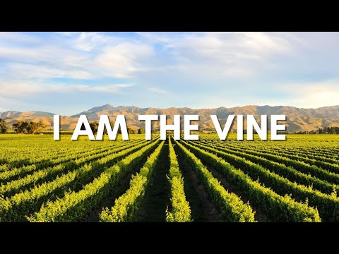 I Am The Vine - Misc Praise Songs