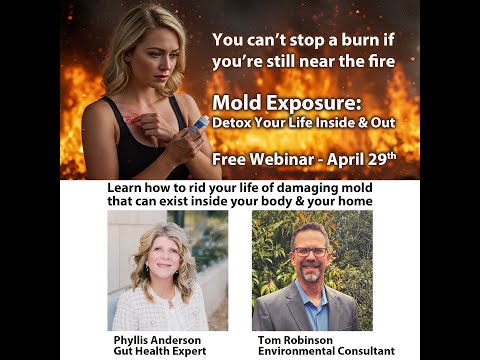 Adaptive Environmental Consulting video