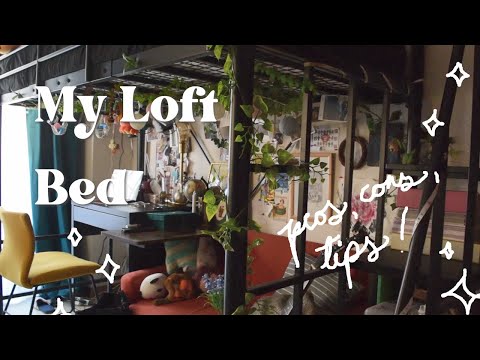 all about my loft bed! // (tips, pros and cons) :)