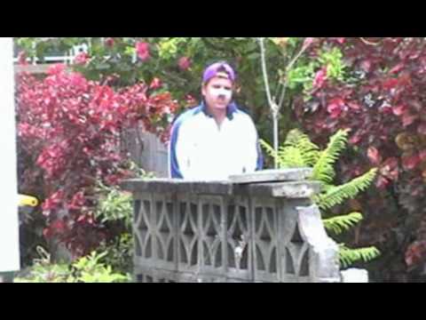 Ultimate backyard cricket sledging.mpg