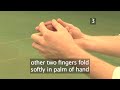 How to Add Swing to a Cricket Ball