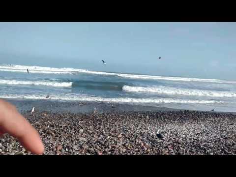 Luis Carlos Sáenz #venezolanoenchile Resumen #puntadeteatinos La Serena