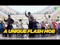 Rang Barse Bheege Chunarwali Flash Mob By Senior Citizens