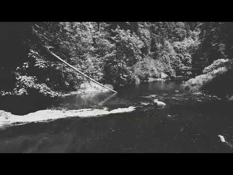 Her And The Banks - Max McNown