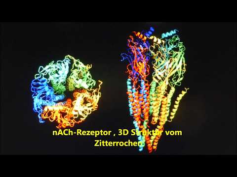 Neonicotinoide Chemie und Wirkmechanismus