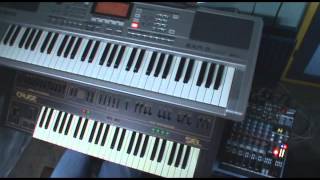 The Dark Domain (Theatres des Vampires keyboard cover)